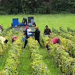 La Du Vignoble L'homme Cheval 3*