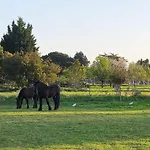 La Du Vignoble L'homme Cheval