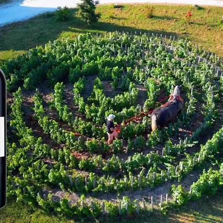 La Du Vignoble L'homme Cheval Bed & Breakfast Anglade