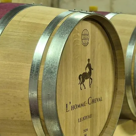 La Du Vignoble L'homme Cheval Bed & Breakfast Anglade