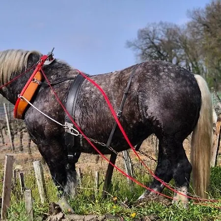 La Du Vignoble L'homme Cheval *