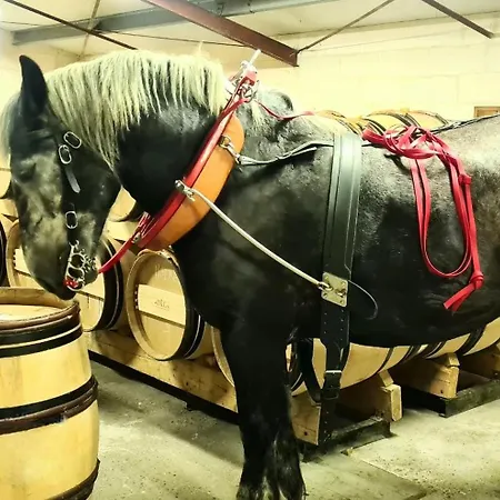 Bed & Breakfast La Du Vignoble L'homme Cheval *