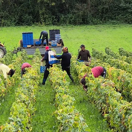 La Du Vignoble L'homme Cheval 3*