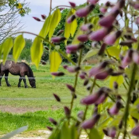 Bed and breakfast La Du Vignoble L'homme Cheval *