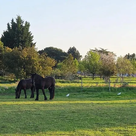 La Du Vignoble L'homme Cheval
