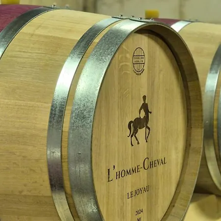 La Du Vignoble L'homme Cheval Anglade
