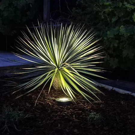 La Du Vignoble L'homme Cheval