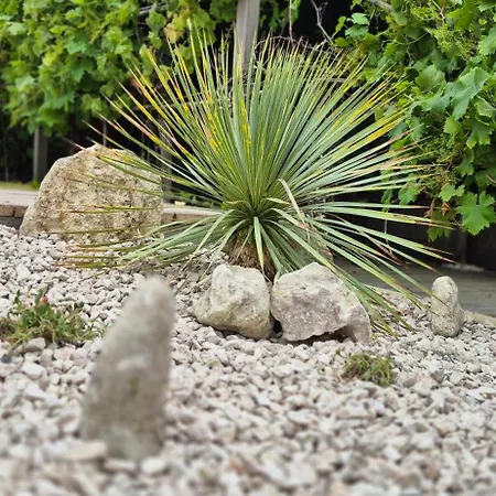 La Du Vignoble L'homme Cheval Bed & Breakfast