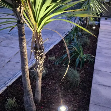 La Du Vignoble L'homme Cheval Anglade