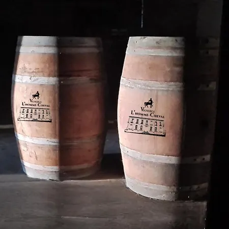 B&B La Du Vignoble L'homme Cheval
