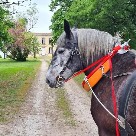 La Du Vignoble L'homme Cheval